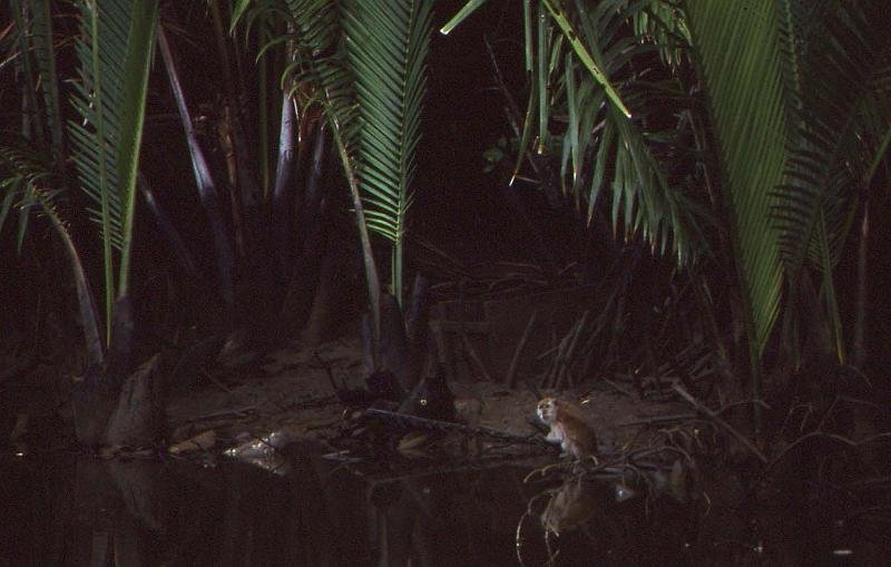 WT 0700 114-14 Malaysia.jpg